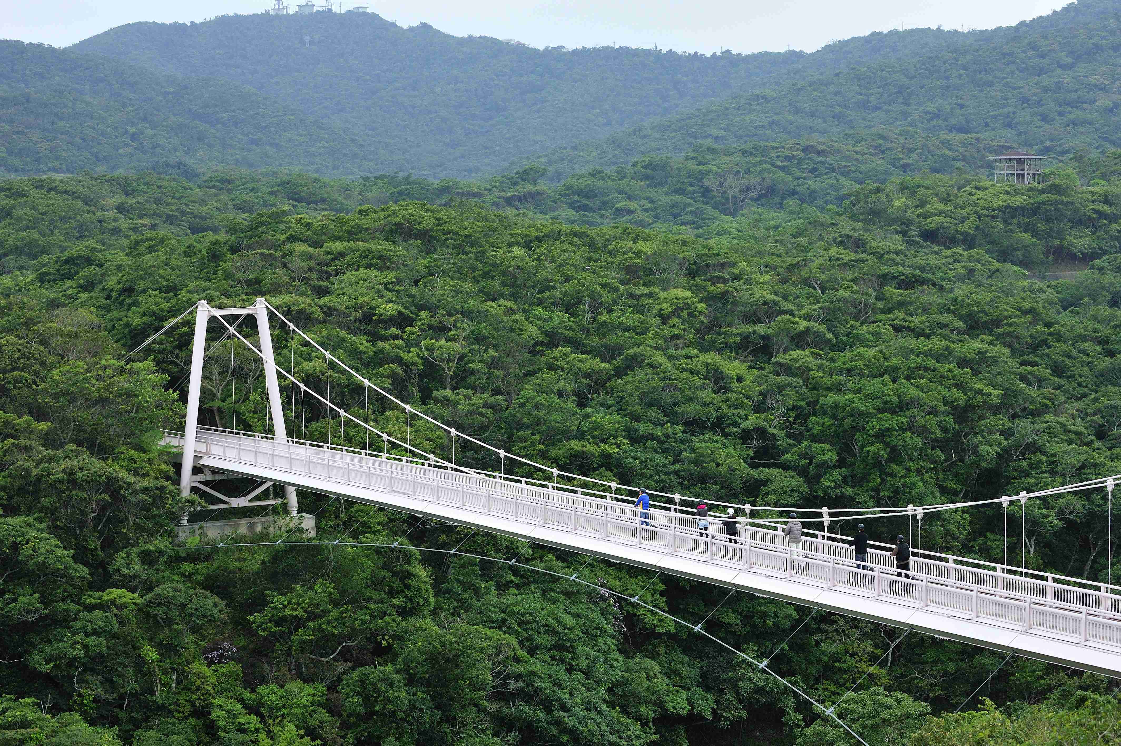 🏞️ 현영 반나 공원(켄에이 반나 코엔) 이미지 7